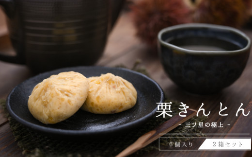 
                  和菓子 栗きんとん 6個入 × 2箱 [栗きんとん はな恵 宮崎県 美郷町 31am0005] 菓子 お菓子 栗 和栗 国産 スイーツ 冷凍
                