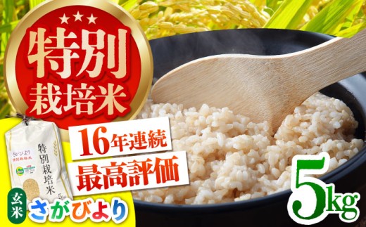 令和7年産 特別栽培米「さがびより」玄米 5kg 【だいちの家】特A米 特A評価 [HAG027]
