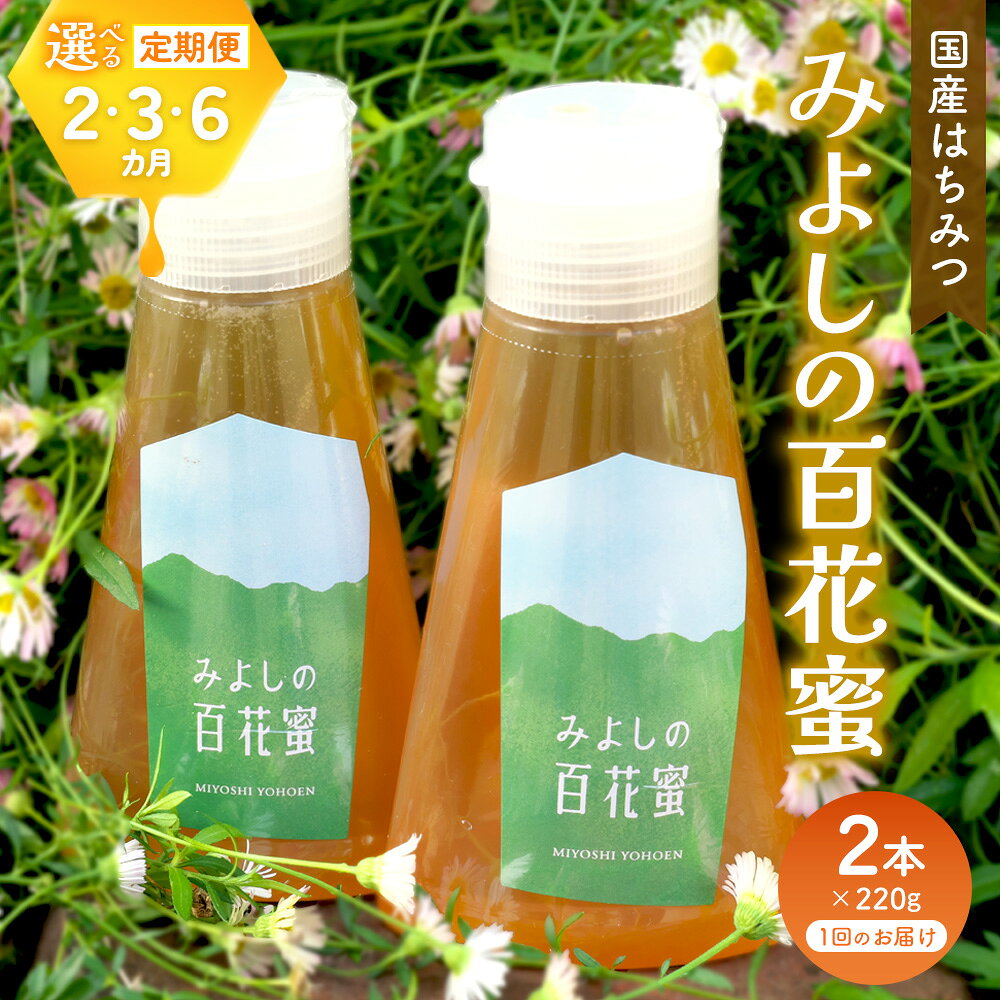 【ふるさと納税】みよしの百花蜜 220g×2本【お届け回数が選べる 2回定期便 3回定期便 6回定期便 はちみつ 百花蜜 純粋 ハゼの花 ブレンド 国産 ミツバチ 甘み スッキリ 2本入】K063P008