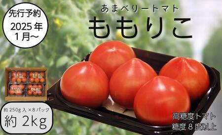 【先行予約】 2025年2月発送 ももりこトマト 約 2kg 約250g×8パック  フルーツ トマト 赤 糖度 8以上 甘い 野菜 ジュース 健康 