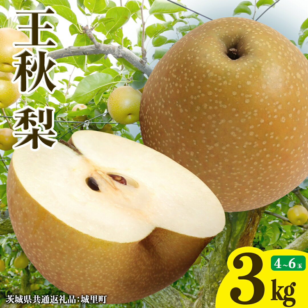 【ふるさと納税】王秋梨 約3kg 4玉～6玉 (茨城県共通返礼品:城里町) 2026年 梨 なし 和梨 フルーツ 甘い お正月 クリスマス 大玉 直送 茨城 限定