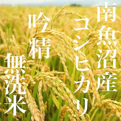 ふるさと納税 南魚沼市 【発送月固定定期便】【6Kg】無洗米 吟精 南魚沼産コシヒカリ全9回 |  | 02