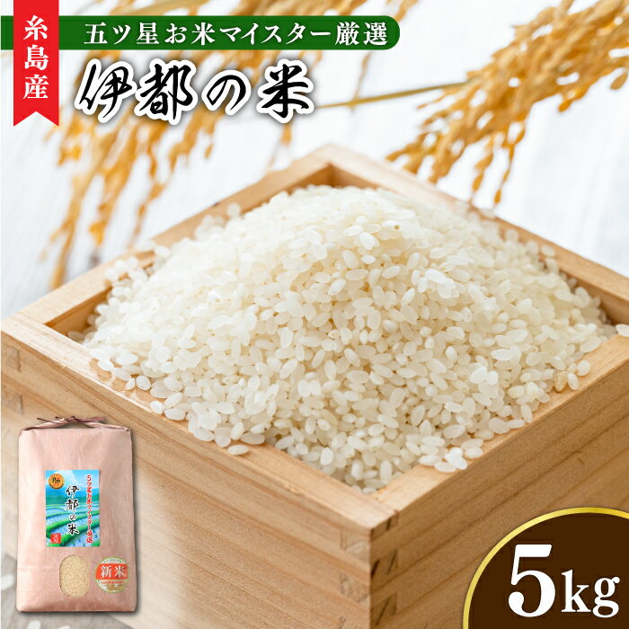 【ふるさと納税】【令和6年産】伊都の米 5kg 糸島市 / 納富米穀店 [ARL001] 米 お米 16000円 常温