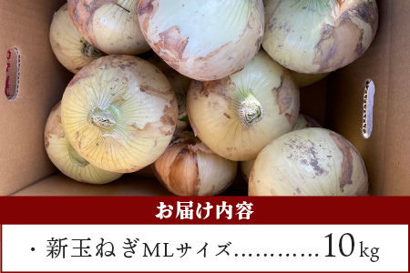 鹿島市産　新玉ねぎ　10kg（MLサイズ）　農家直送　B-737