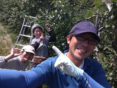 先行予約 【訳あり品】傷だらけの戦士たち 季節のりんご MIX 10kg 2種類以上お届け 【 リンゴ 品種 おまかせ 旬 お届け 岩手 陸前高田 】2025年10月下旬以降発送予定 RT2062