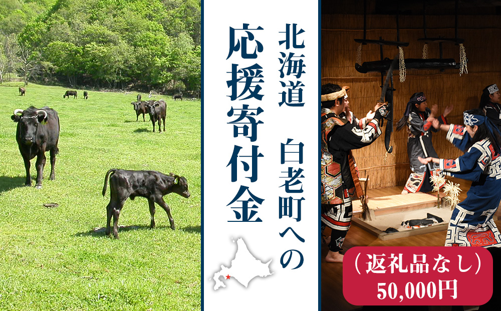 北海道 白老町☆応援寄付金☆【返礼品なし】50000円