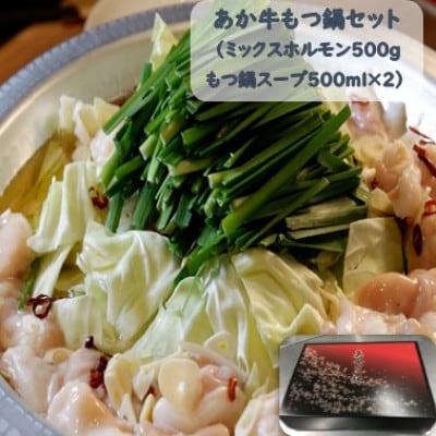 あか牛もつ鍋セット(あか牛ミックスホルモン500g もつ鍋スープ500g×2)(美里町)【配送不可地域：離島】