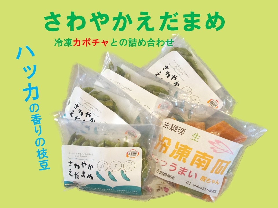 
            「さわやかえだまめ」と「冷凍かぼちゃ」の詰め合わせ
          