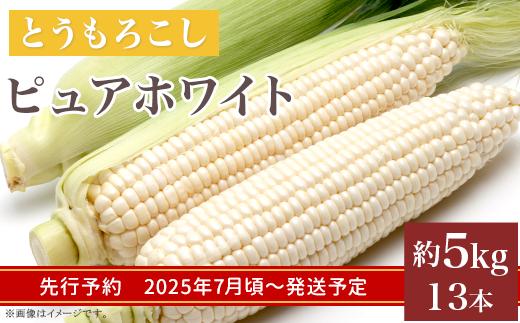 
            326 とうもろこし ピュアホワイト 約5kg 13本 朝採れ 白 茨城 先行予約 2025年7月頃～発送予定
          