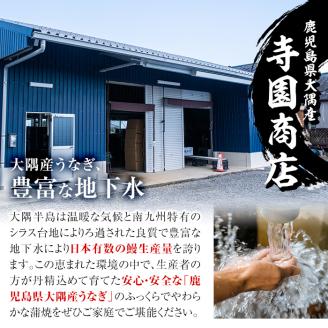 【土用の丑の日対応7/7入金まで】大隅特産うなぎ蒲焼３尾（510ｇ）【国産】