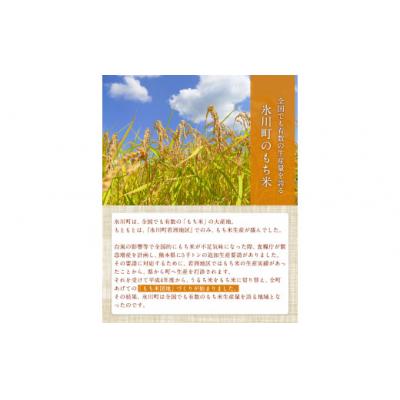 ふるさと納税 氷川町 蓮華の花園(もち米) 10kg 精米 JAやつしろカントリー利用組合 熊本県 氷川町