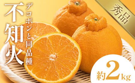 不知火 デコポン 同品種 約2k 日本フルーツ株式会社 熊本県 荒尾市 《1月下旬-2月末頃出荷予定》 デコポン 果物 秀品 フルーツ スイーツ デザート ギフト ご贈答