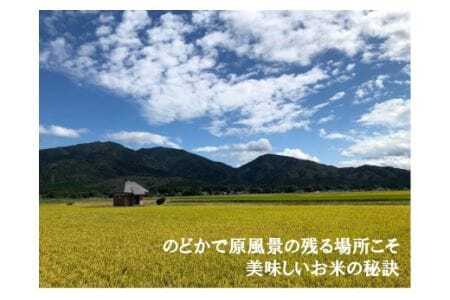 【令和6年度産新米】特別栽培米コシヒカリ100％「南郷米」精米 3kg（1kg×3袋） 有限会社ファームみなみの郷