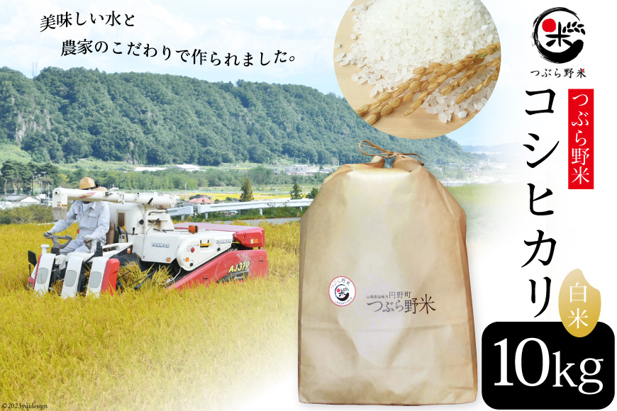 米 令和8年 つぶら野米 コシヒカリ 白米 10kg [つぶら野米 山梨県 韮崎市 20743369] こめ コメ お米 精米 こしひかり