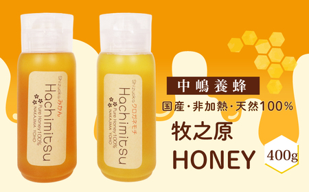 蜂蜜チューブ 400g 蜂蜜  国産 中嶋養蜂 はちみつ
