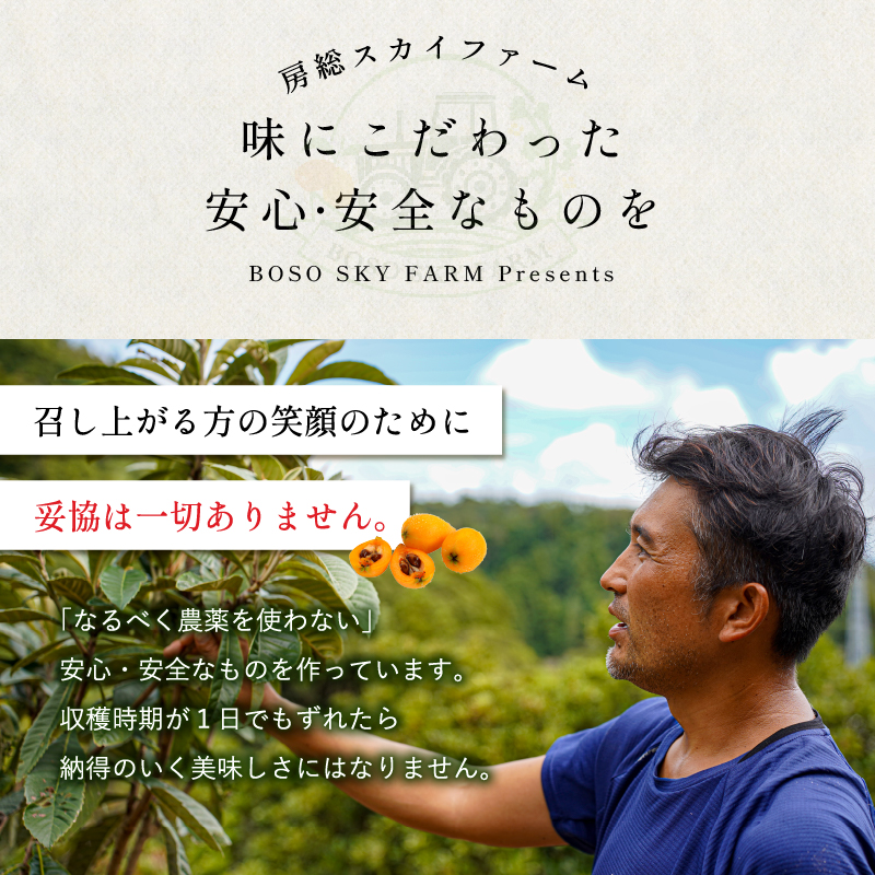 【先行受付 2025年6月上旬～7月中旬発送予定】数量限定！ヤングコーン(ベビーコーン）50本 野菜 バター醤油 炒め物 皮付き 髭付き サラダ 生野菜