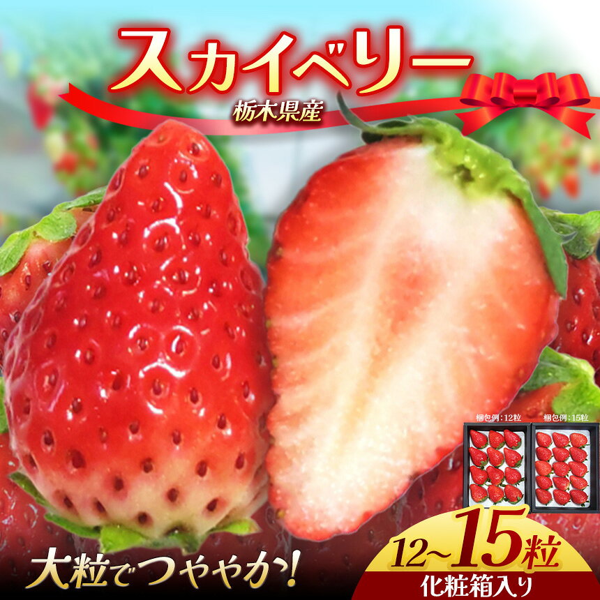 【ふるさと納税】栃木県産 スカイベリー 12～15粒 430g～460g | 2025年度産 2025年12月より随時出荷 産地 大粒 冬 味覚 いちご 苺 イチゴ ストロベリー 大きい ジューシー 甘い あまい 甘味 人気 栃木県 下野市 送料無料