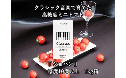 高糖度ミニトマト：クラシックトマト『ショパン』1kg箱＜北海道・沖縄県・離島は発送不可＞【 糖度10度以上 『酸味とのバランス』 『口に広がる余韻』 長野県 佐久市 旬彩 フルーツトマト 】
