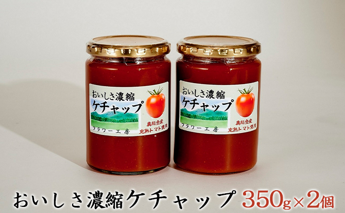 
            [№5984-0041]おいしさ濃縮ケチャップ 350g×2個
          