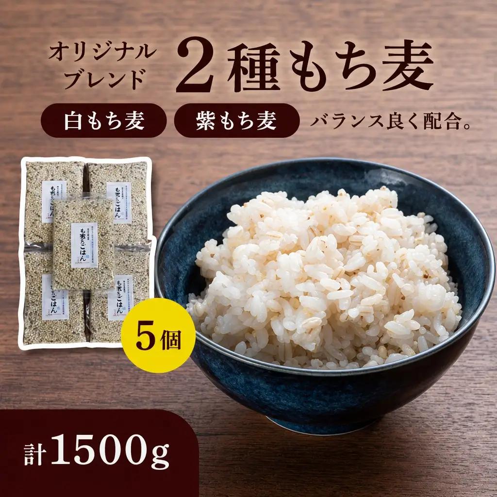 二種もち麦 5個（計1,500g）もち麦