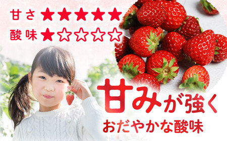 【風味豊かな香り】西海市産いちご「かおりの」2kg（250g×8パック）＜武藤農園＞[CFV002]