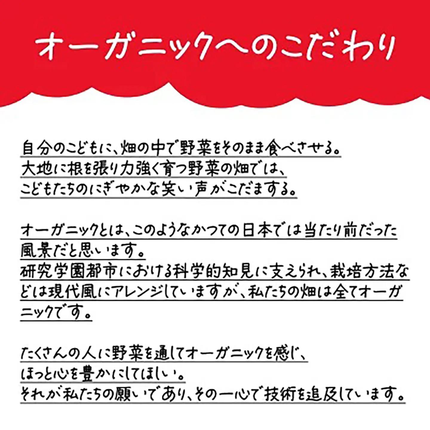 3ヵ月定期便 すっぴん有機やさいセット(小松菜・水菜・ロメインレタス) │ オーガニック 野菜