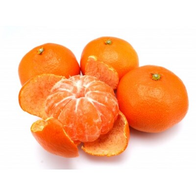 愛媛県八幡浜産 極甘みかん小玉　5kg【D96-5】【1670780】