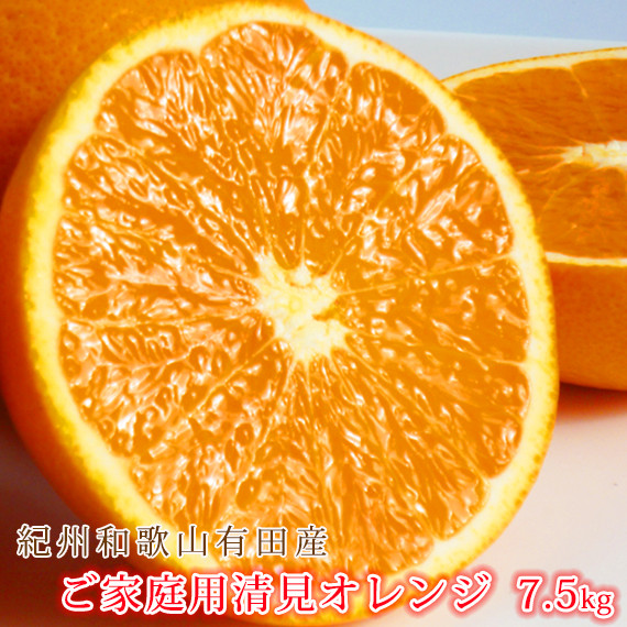 
【ご家庭用訳アリ】紀州有田産清見オレンジ　7.5kg
