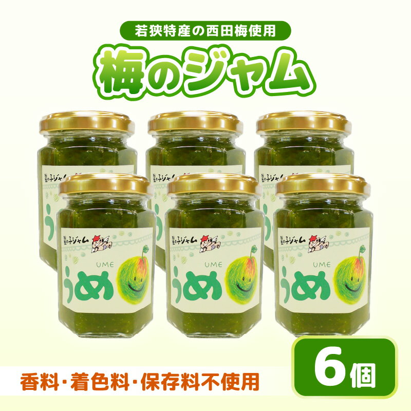 【ふるさと納税】【福井県産】梅を使った 梅ジャム× 6個セット 着色料・保存料不使用！