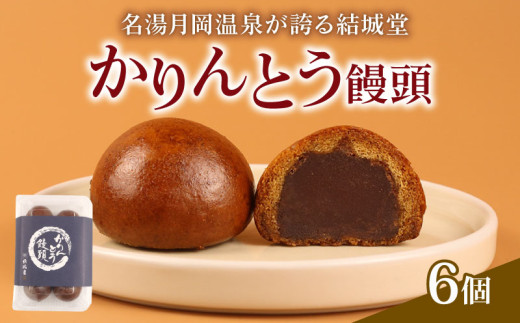 かりんとう饅頭 6個入 冷凍 和菓子 かりんとう まんじゅう 饅頭 あんこ 餡 スイーツ お菓子 ご褒美 贈答用 プレゼント お土産 老舗 結城堂 新潟 新発田市 yukido003_01