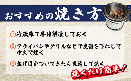 手作り 無添加 ふぐ入り干物セット 4パック 干物 干物 干物 干物 干物 石井丸