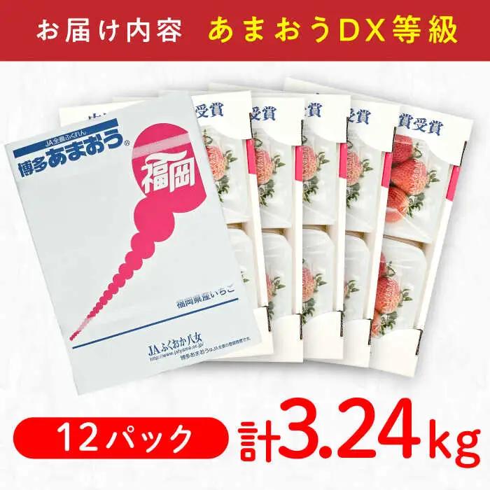 【★先行予約★ 2027年2月より発送】あまおう DX等級 6ケース（250g×12P）[AFAB006] いちご