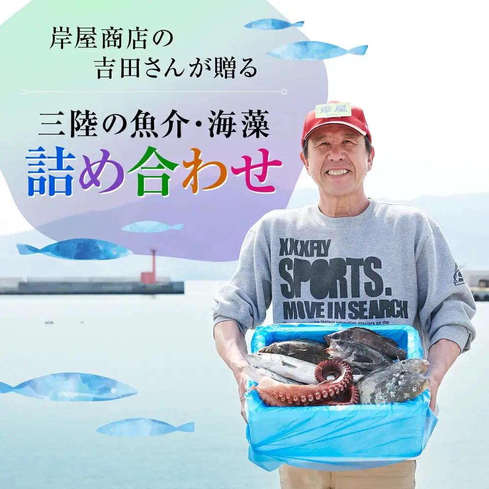 鮮魚セット(2～3人用) 下処理済み 朝獲れ直送 三陸 旬 冷蔵 刺身 海藻 貝 鮮魚 お魚