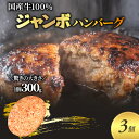 【ふるさと納税】ジャンボ ハンバーグ 300g 3個 セット 国産 牛壱 国産牛100％ 冷凍 惣菜 おかず 真空パック 煮込みハンバーグ お肉 肉 牛肉 牛 淡路島 たまねぎ 手作り ギフト 贈り物 プレゼント 大阪 柏原市　 大阪府柏原市