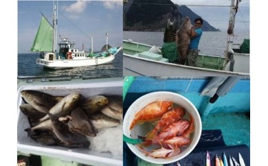 １日釣り体験（３人まで貸切）