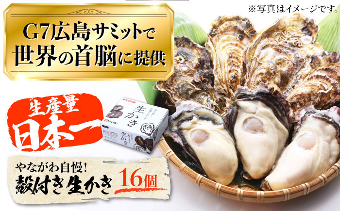 
広島G7で提供された牡蠣！【着日指定可能】やながわ自慢！殻付き 牡蠣 16個（約2kg）牡蠣 かき カキ 生牡蠣 殻付き 広島 江田島市/マルサ・やながわ水産有限会社 [XBL010]
