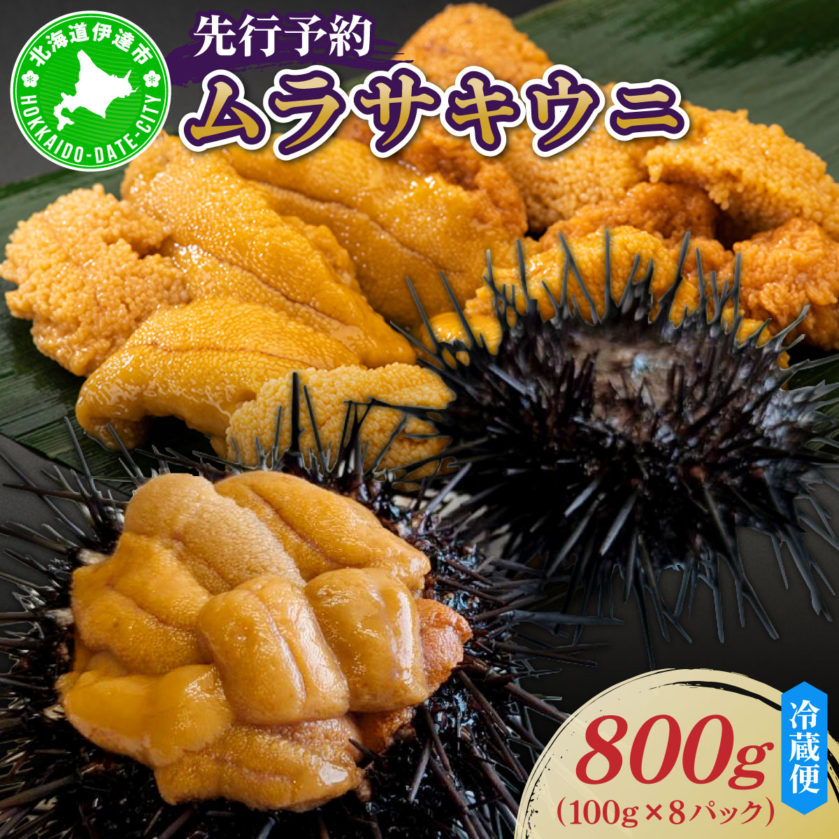 ＜先行予約＞ 北海道産 ムラサキウニ（正規品）800g【ogm-037】生うに 塩水うに ミョウバン不使用 海鮮 国産 北海道 伊達 ふるさと納税