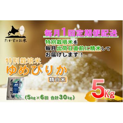 ふるさと納税 鷹栖町 【毎月定期便】たかすのお米「特別栽培米 ゆめぴりか」5kg(精白米)全6回
