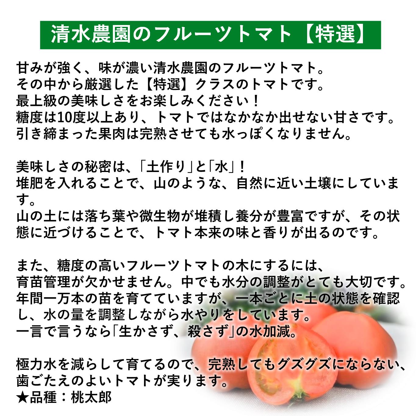 ＜2025年6月下旬よりお届け＞【特選・糖度10度以上】【農園直送】北海道壮瞥産 こだわりフルーツトマト 20玉以上 SBTO005