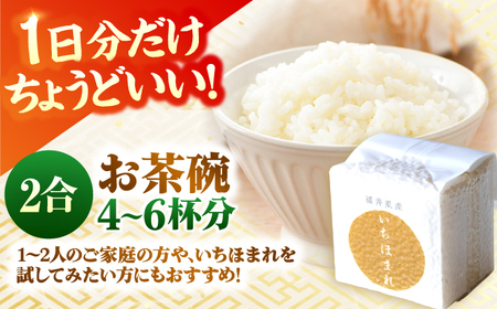 【300g×6個】福井県産 いちほまれ 300g×6個 2合 真空パック 小分け  / 白米 国産米 福井県 ブランド米 保存しやすい 小浜市 / シマダ農園 [BFAV011]