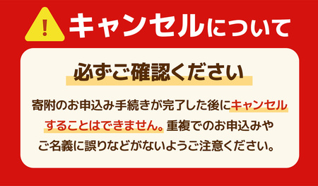 暖家のいちご　完熟あまおう　贈答用2パック　AB001