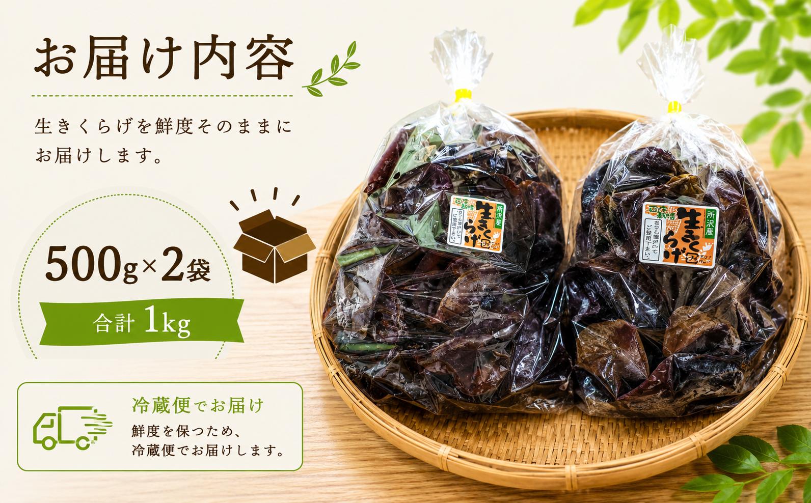 きくらげ キクラゲ きのこ キノコ 生きくらげ 生キクラゲ 野菜 やさい ヤサイ 季節限定 新鮮 栗原しいたけ園 埼玉県 所沢市