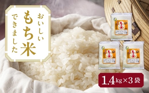 【3袋】愛知県産滋賀羽二重糯 計4.2kg（1.4kg×3袋） 特別栽培米 もち米 お赤飯 お餅 愛西市 ／ 株式会社TONORI [AECT002]