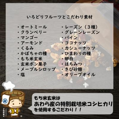 ふるさと納税 あわら市 【毎月定期便】自家製 フルーツグラノーラ 250g×3袋 750g(計4.5kg)全6回 |  | 01