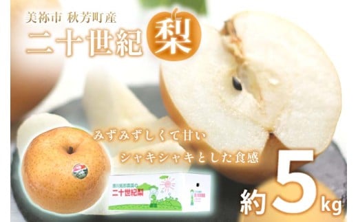 美祢市秋芳町産 二十世紀梨 （ 約5kg ）【先行予約：9月より発送予定】｜ 二十世紀  なし 梨 フルーツ 大きい BIG サイズ 特産品 美祢市 美祢 山口県 山口 秋芳町 秋芳 カルスト台地 先行予約