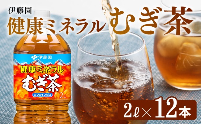 
                  健康ミネラルむぎ茶 2L×6本×2ケース 飲料類 お茶 麦茶
                
