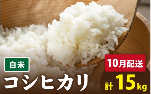 【先行予約】【 令和8年産　新米 】 有機JAS認証 オーガニックコシヒカリ 白米 5kg×3袋（計15kg）《2026年10月発送》