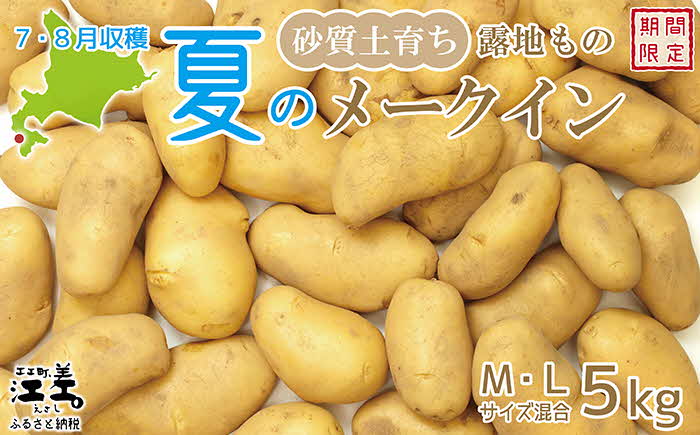 【7月頃〜順次出荷】砂質土育ち「夏」メークイン M・L混合5kg　露地もの　手掘り　江差産メークイン　北海道のじゃがいも　芋の塩煮　肉じゃが　カレー　シチュー　コロッケ　色々なお料理に　北海道産
