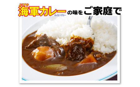 よこすか海軍カレー ネイビーブルーカレーフレーク 125g×53袋 カレー 海上自衛隊カレー 海軍 海軍カレー 軍艦 横須賀 自衛隊 神奈川 レトルト 非常食 保存食  【横須賀商工会議所 おもてなし