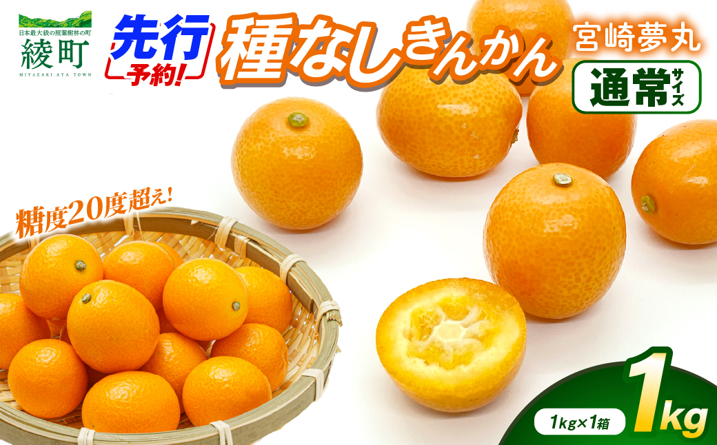 【先行予約】種なし きんかん「宮崎夢丸」 1kg 数量限定 種無し 果物 フルーツ くだもの 柑橘 金柑 プレミア おすすめ ギフト 贈り物 贈答 おやつ スイーツ デザート 糖度が高い 常温 産地直